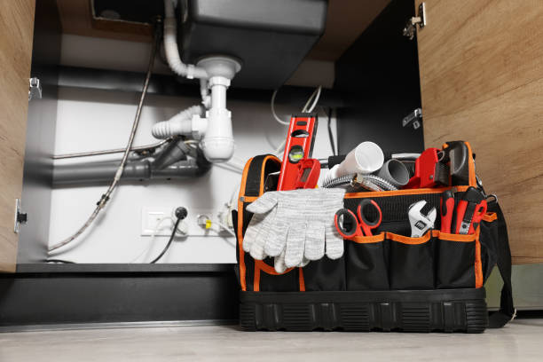 Best Plumbing Inspection Services  in Vista Santa Rosa, CA